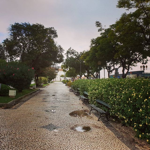 Unknown Portugal:   Ecovia do Litoral, Faro 
In Via – On the Way – Matkalla