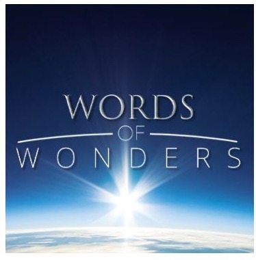 Words of Wonders - ristikkopeli, Words of Wonders - ristikkopeli