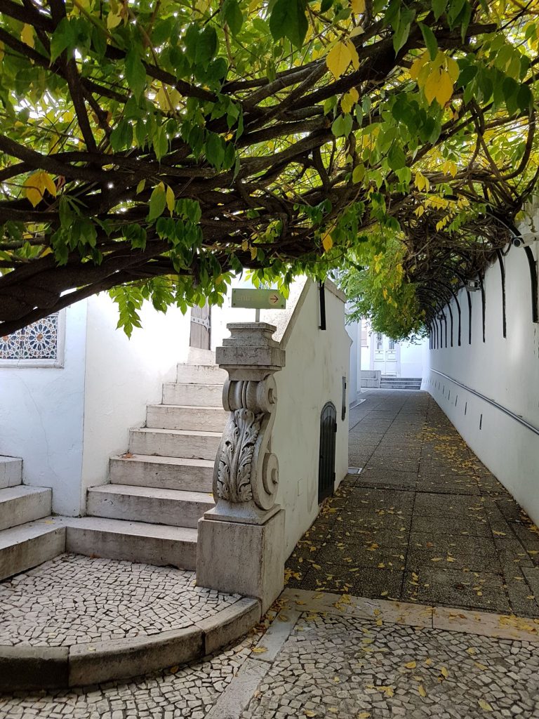 Tie tuntemattomaan... Tien päässä on museo. Lissabon, Lisbon, Portugal. Blogin alkutaipale