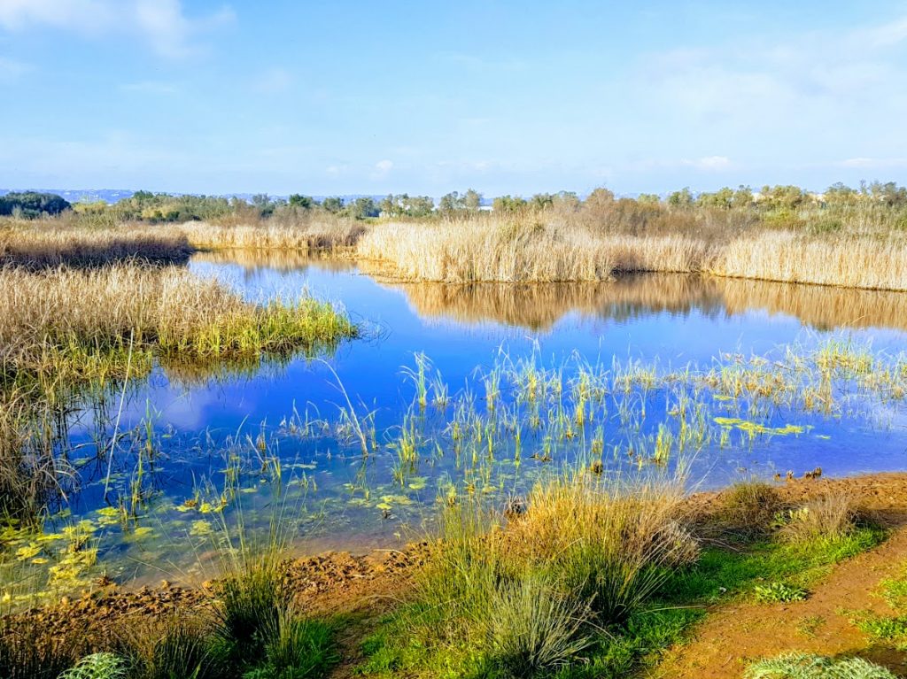 Onnistunut perheloma Algarvessa Parque Ambiental de Vilamoura