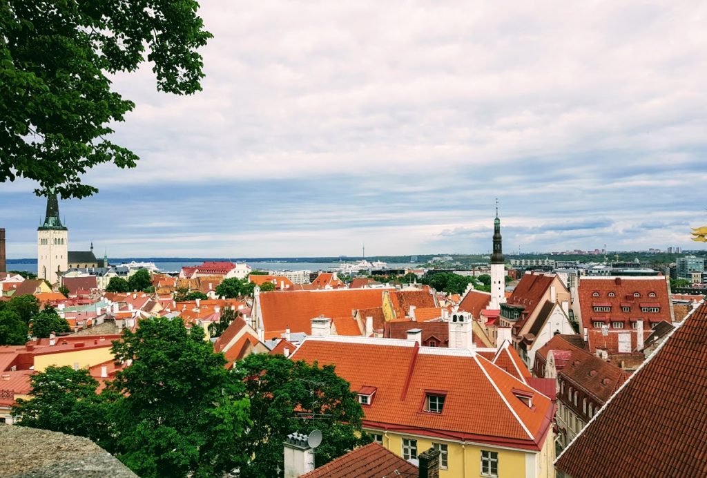 Myyttejä ja totta Virosta, Kohtuotsan näköalapaikka