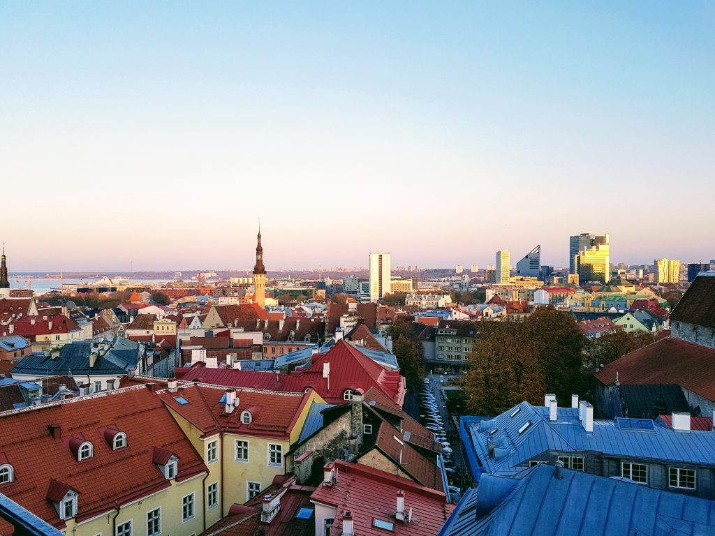 Virtuaalimaailman paratiisi ja Diginomadien luvattu maa, Tallinn