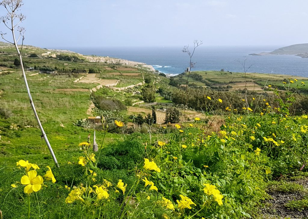 Polku Hondoq Bay:sta Mġarrin satamaan, Qala-Mgarr