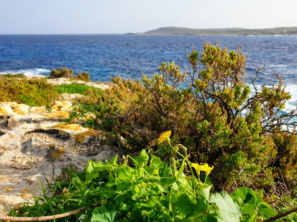 Polku Hondoq Bay:sta Mġarrin satamaan, Qala, Mgarr