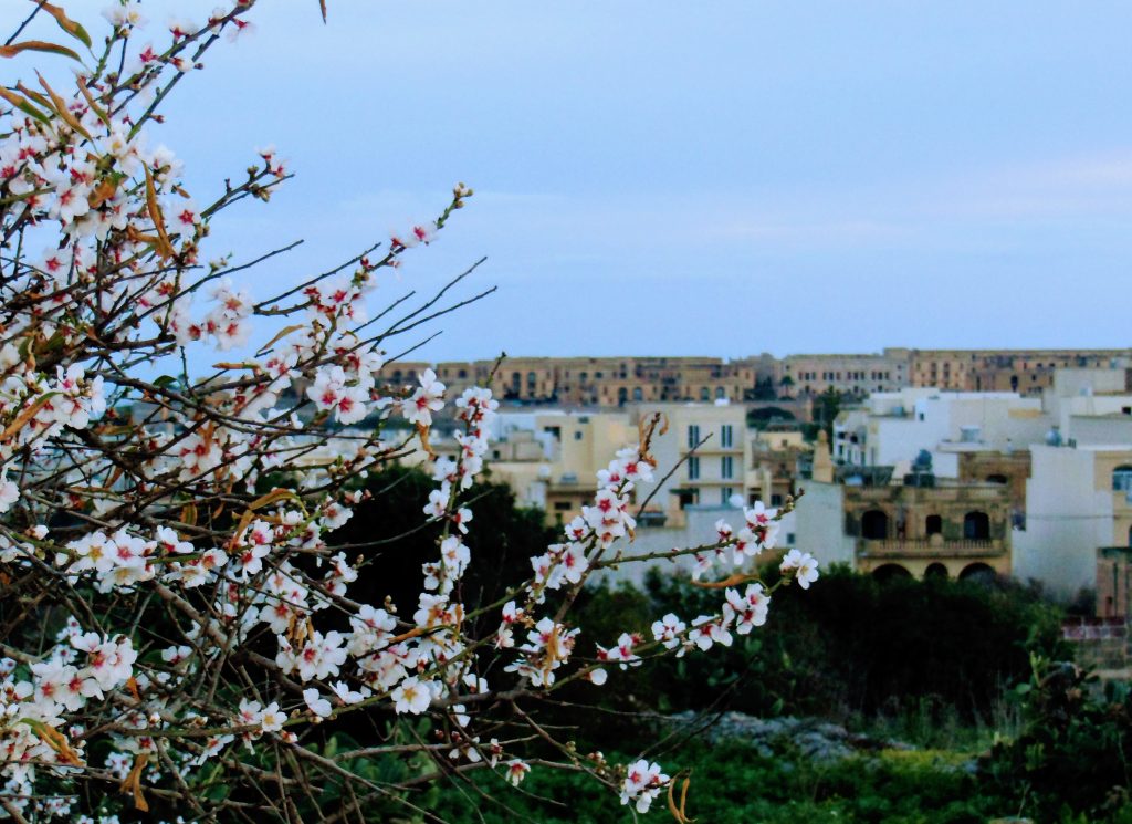 Viikonloppu Gozolla