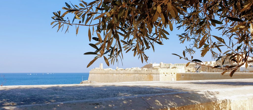Malta Vs Gozo, Fort St Elmo