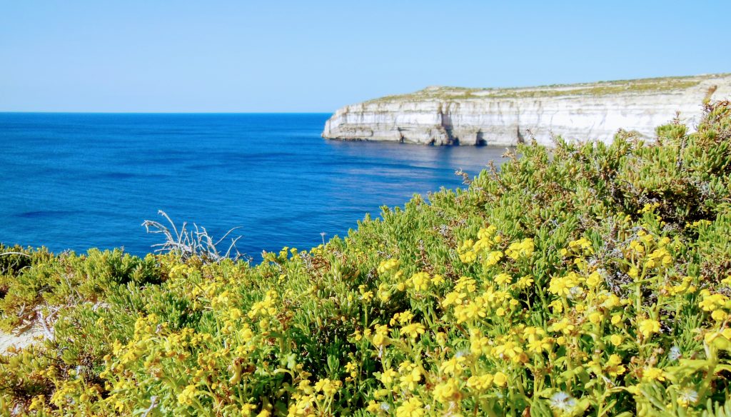 Gozon rantoja - Wied il-Għasri - Dwejra Bay 