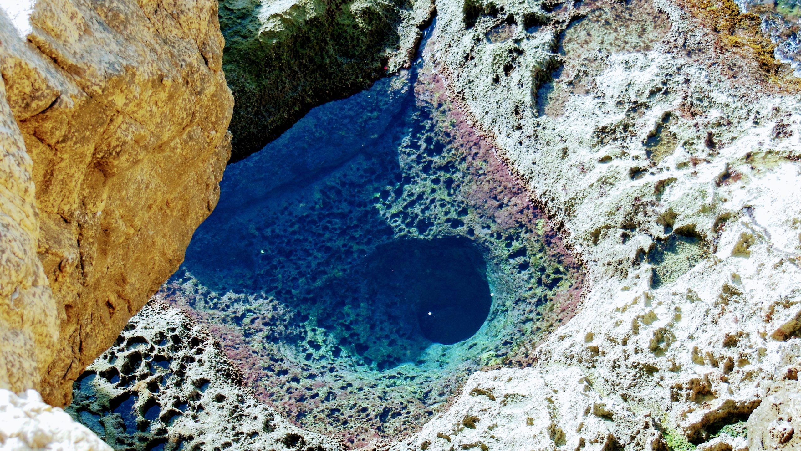 Gozon pisin patikointireitti: Wied Il-Mielaħ - Kerċem
 Blue Hole - Azure Window jäännökset