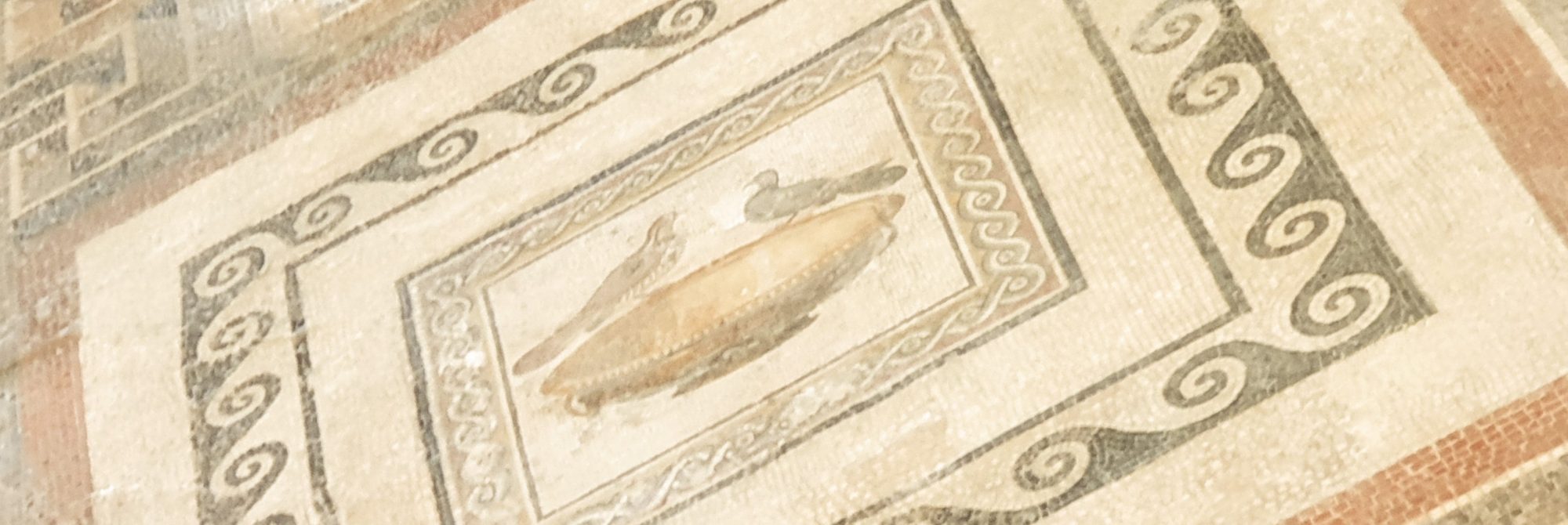 Domus Romana banner