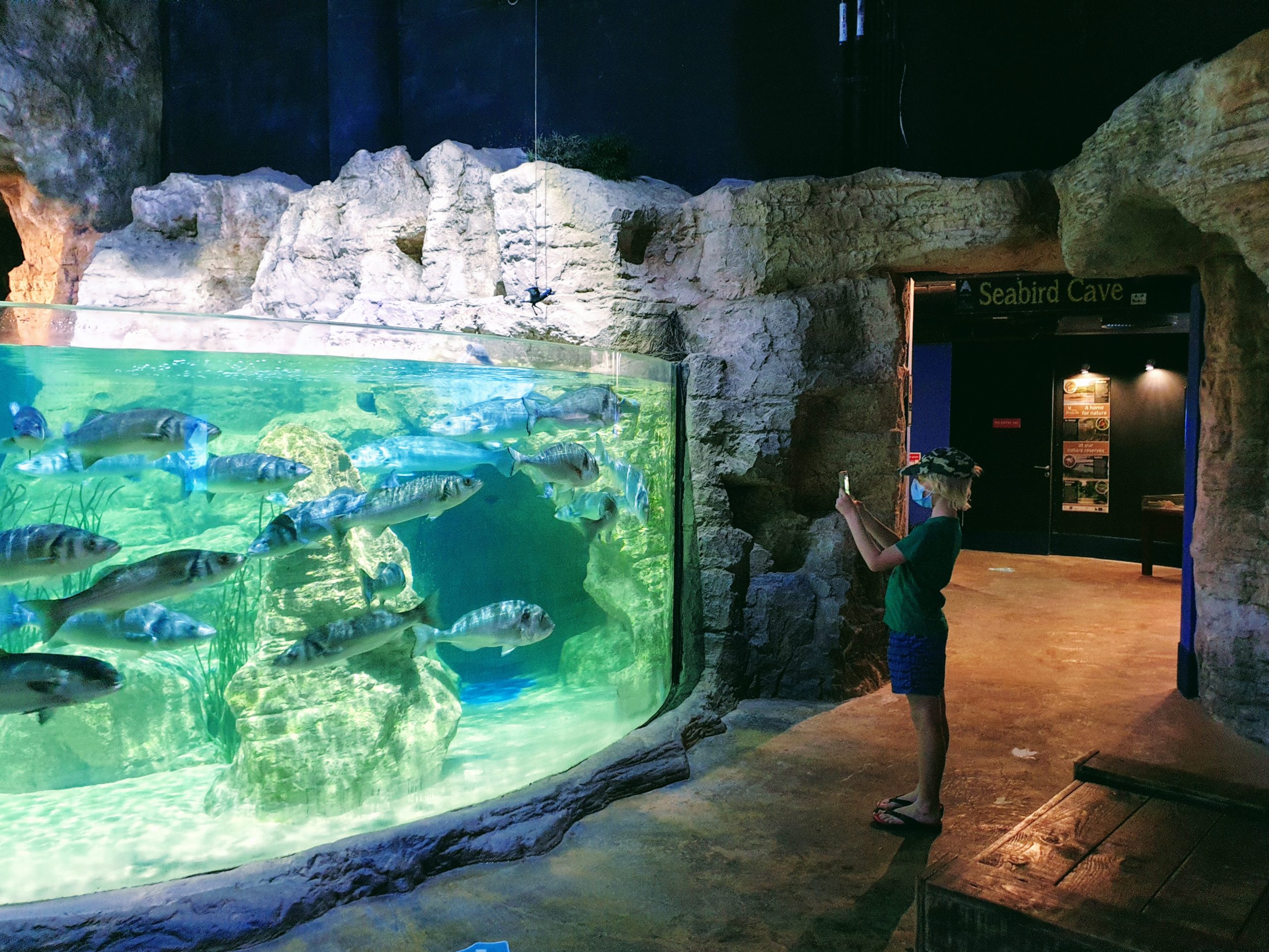 Malta akvaario