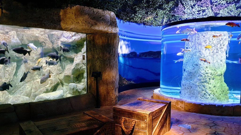Matkavinkkejä Maltalle - Malta National Aquarium