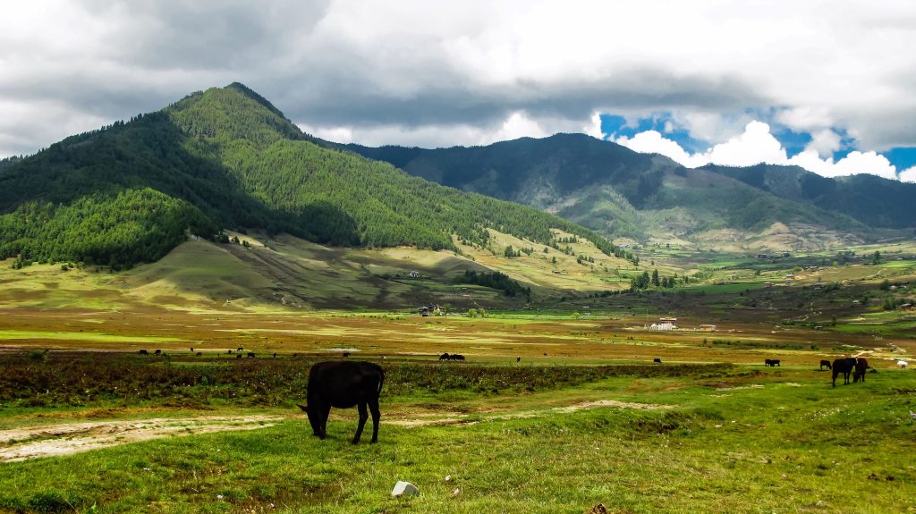 Piilotetut helmet Bhutanissa -Phobjikhan Laakso