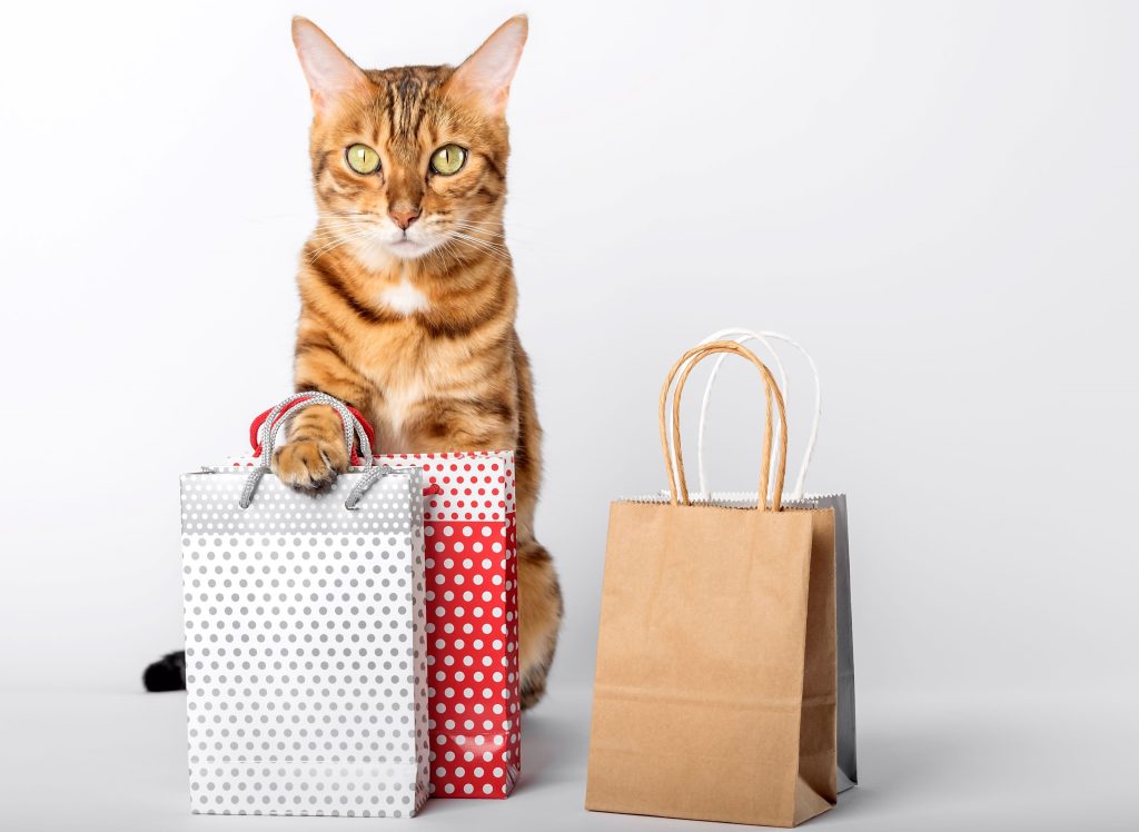 Muodikasta ja muodotonta - kissa shoppailee