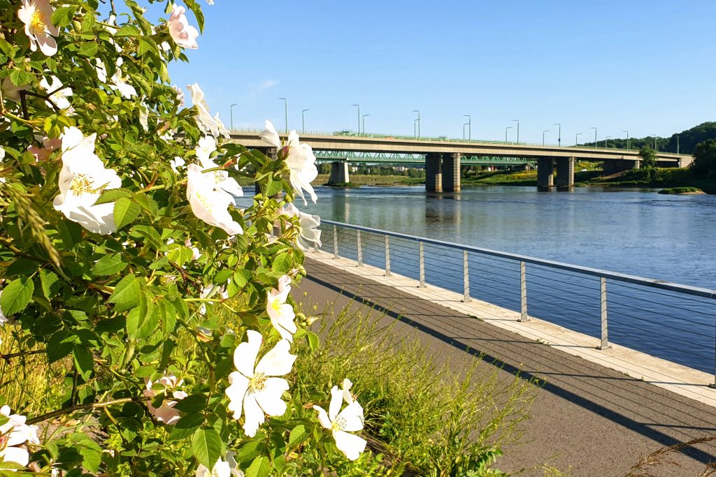 Viikko 21 - Rutiinien voittokulku - pääkuva, Niemen-joki, Kaunas LT