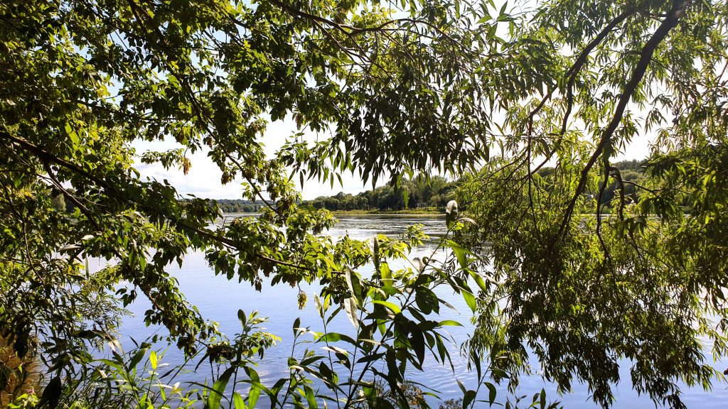 Vieraanvarainen Kaunas - Panemunės miško parkas 