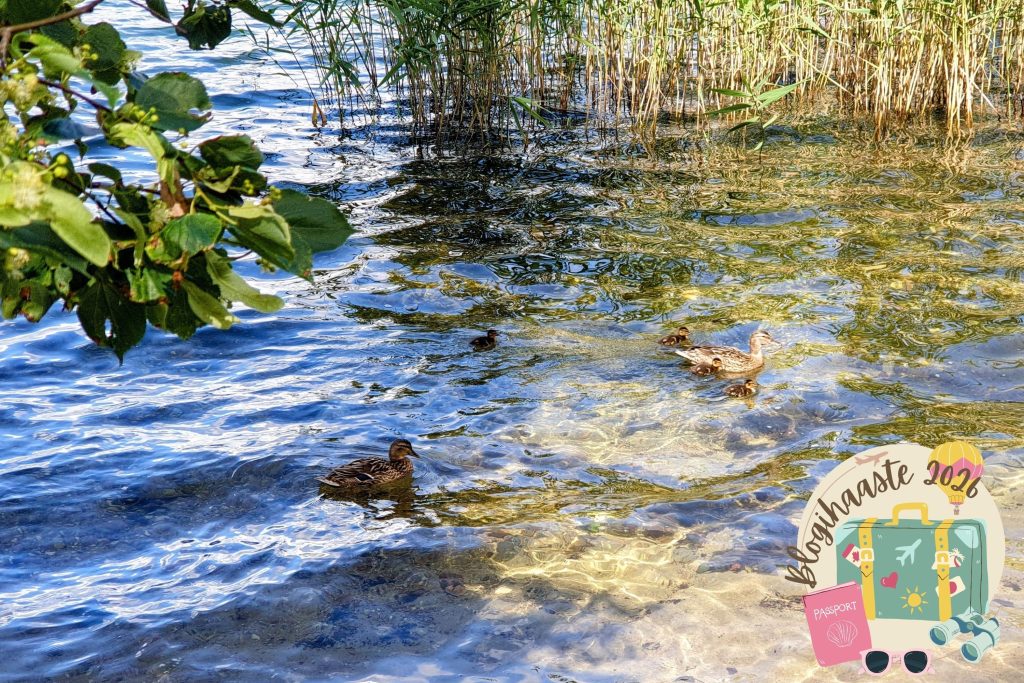 Missä olit silloin - Kesäkuu pääkuva