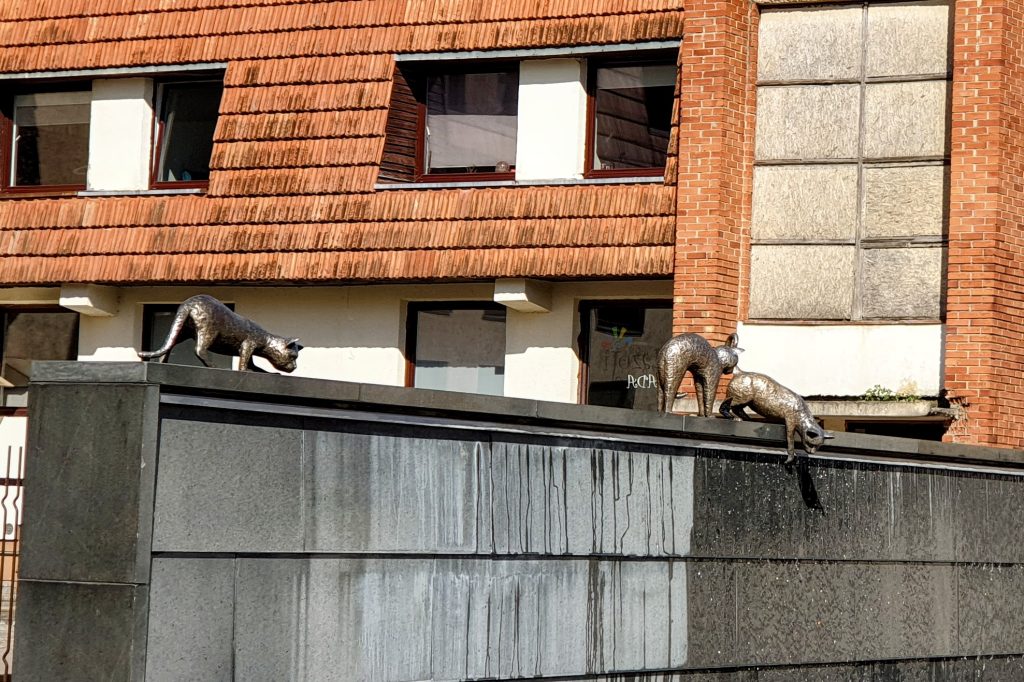 Marijampolėn kissat - suihkulähde